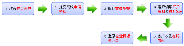 企業(yè)網銀專業(yè)版開戶流程